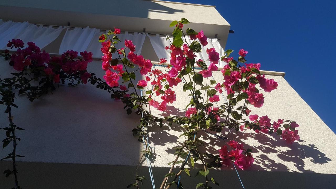 Mina Apartments Okrug Gornji Εξωτερικό φωτογραφία